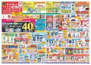 6月2週目のチラシ画像