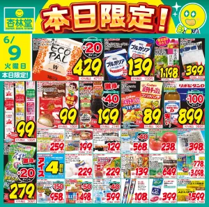 6/9日替りのチラシ画像
