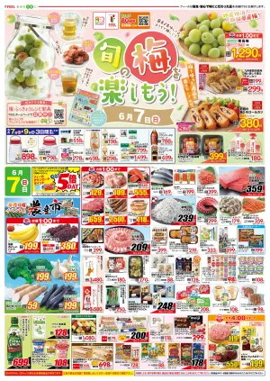 旬の梅を楽しもう！のチラシ画像