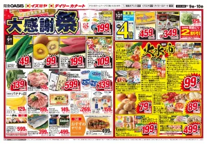 06/09号のチラシ画像