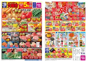 6/9(火)-6/10(水)_のチラシ画像