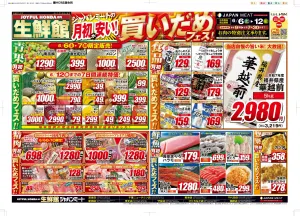 6月6日号のチラシ画像