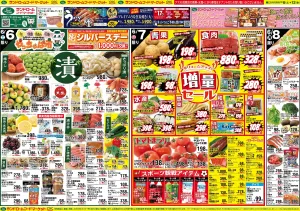 6/6号のチラシ画像