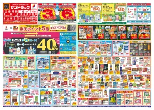 6月2週目のチラシ画像