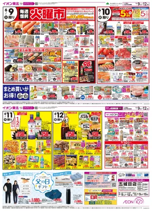 6/9〜6/12(裏面は〜6/15)　6/10は十日の市／ディスカウント超特価！のチラシ画像