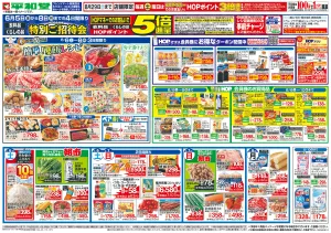 6/6（土）〜簡単!夏飯レシピのチラシ画像