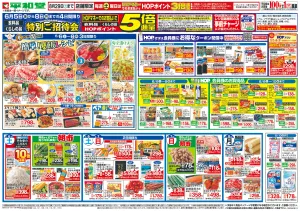 6/6（土）〜簡単!夏飯レシピのチラシ画像