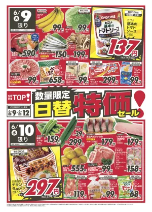 6月9日〜6月12日　日替特価セールのチラシ画像