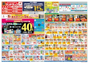 6月2週目のチラシ画像
