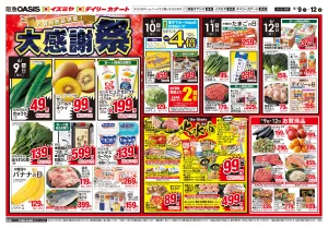 06/09号のチラシ画像