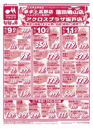 6月9日〜6月11日　チラシ情報のチラシ画像