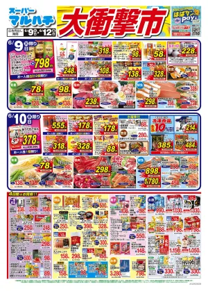 2026年06月09日〜12日のチラシ画像