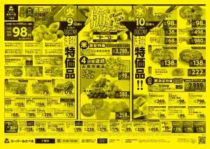6/9〜6/12販売分のチラシ画像