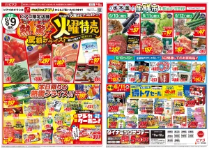 6月9日(火)〜6月12日(金)のチラシ画像