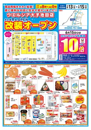 6/13(土)〜6/15(月)　ウエルシア　大子池田店　リニューアルオープンセール！のチラシ画像