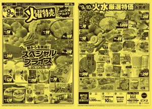 6月9日(火)〜6月10日(水)のチラシ画像