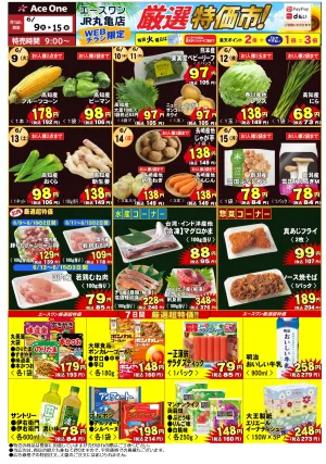 エースワンJR丸亀店WEB限定チラシ　厳選特価市！のチラシ画像
