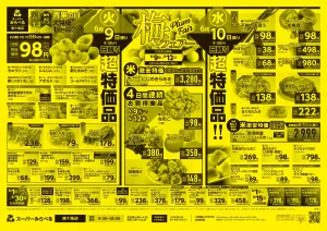 6/9〜6/12販売分のチラシ画像