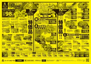 6/9〜6/12販売分のチラシ画像