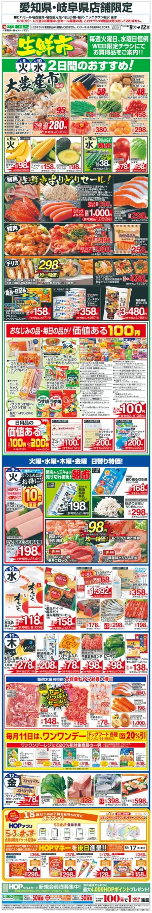 WEB限定 6/9（火）〜生鮮市のチラシ画像