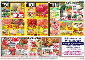 6月9日〜6月11日　チラシ情報のチラシ画像