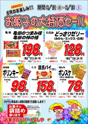 お買い得チラシ6月2週目のチラシ画像