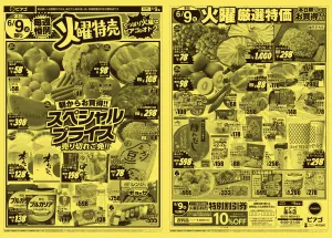 6月9日(火)限りのチラシ画像