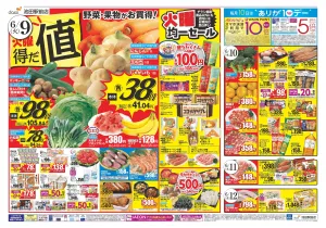 6/9は火曜得だ値　お酢フェス同時開催のチラシ画像