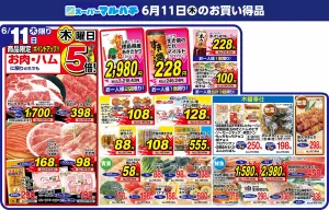 2026年06月11日のチラシ画像