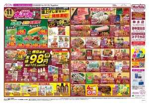 マックスバリュ九州　６／１１号のチラシ画像