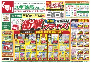 チラシのご案内のチラシ画像