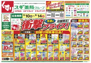 チラシのご案内のチラシ画像