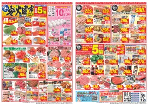 6/9（火）-6/12（金）のチラシ画像