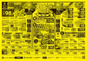 6/9〜6/12販売分のチラシ画像