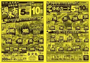 6/13（土）-6/14（日）のチラシ画像