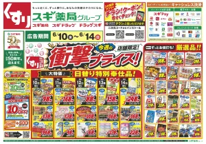 チラシのご案内のチラシ画像