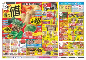 6/9は火曜得だ値　お酢フェス同時開催のチラシ画像
