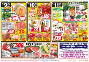 6月9日〜6月11日　チラシ情報のチラシ画像