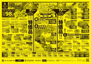 6/9〜6/12販売分のチラシ画像