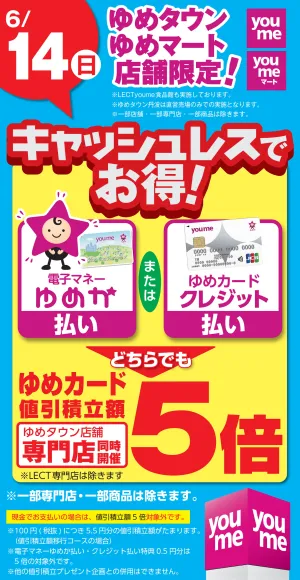 キャッシュレス5倍_のチラシ画像