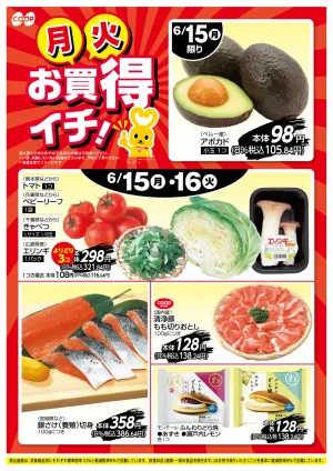 お買得イチ！のチラシ画像