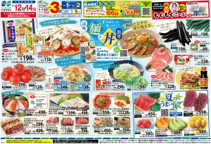 涼味麺と簡単丼・夏のうまいもののチラシ画像