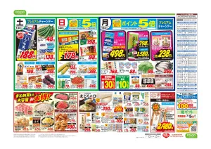 世界の料理のチラシ画像