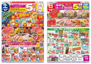 6/13（土）-6/14（日）のチラシ画像