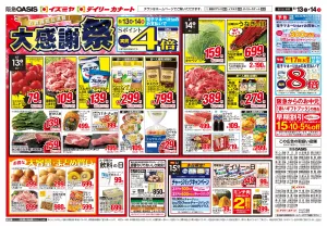 お買得商品満載! 大感謝祭のチラシ画像