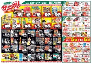 毎日屋 6月11日(木)〜6月13日(土)WEBチラシ「月に一度のお買い得セール♪毎日屋のサニ得！」のチラシ画像