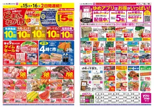 6/15（月）-6/19（金）のチラシ画像