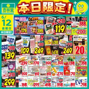 6/12日替りのチラシ画像