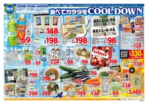 ６／１３号　ビッグ・エー今週のお買い得！のチラシ画像