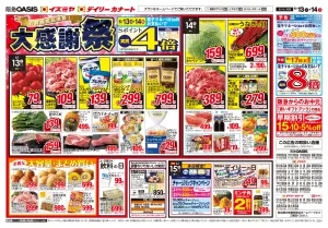 お買得商品満載! 大感謝祭のチラシ画像